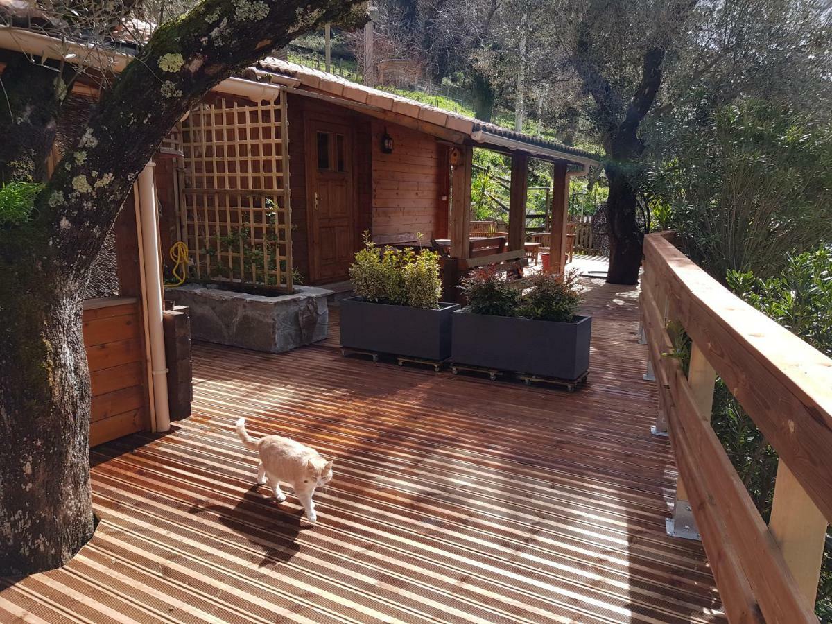 Le Chalet De Valentine & Laurent Olmiccia Exterior foto